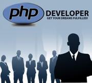 Requirements urgently sr php developer in pacnhkula