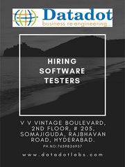 Looking for 0Software Tester & Test Lead