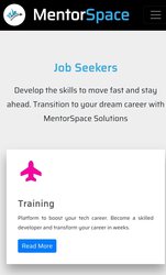 Mentorspace | Job Seekers | work based Courses